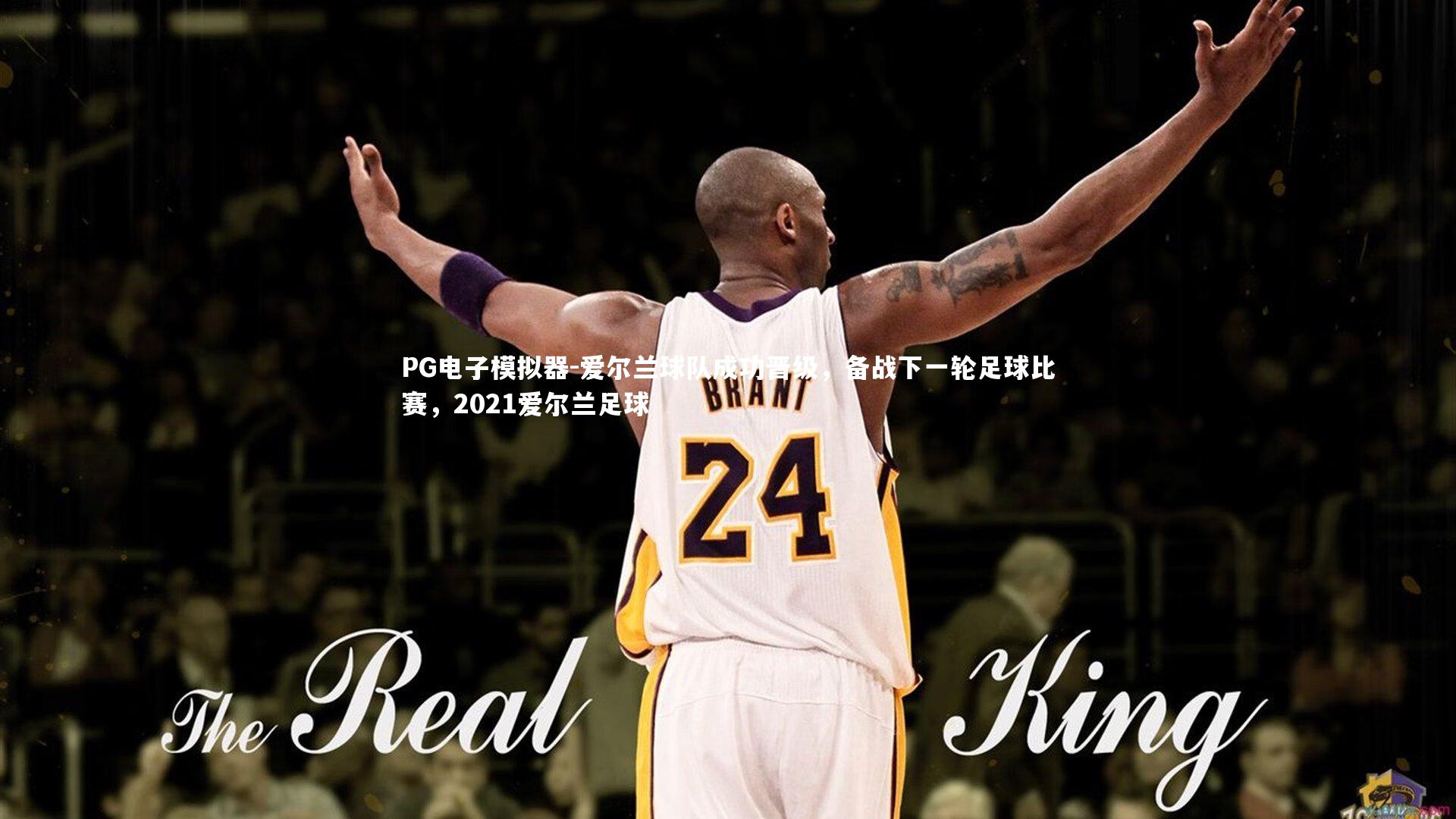 PG电子模拟器-爱尔兰球队成功晋级，备战下一轮足球比赛，2021爱尔兰足球